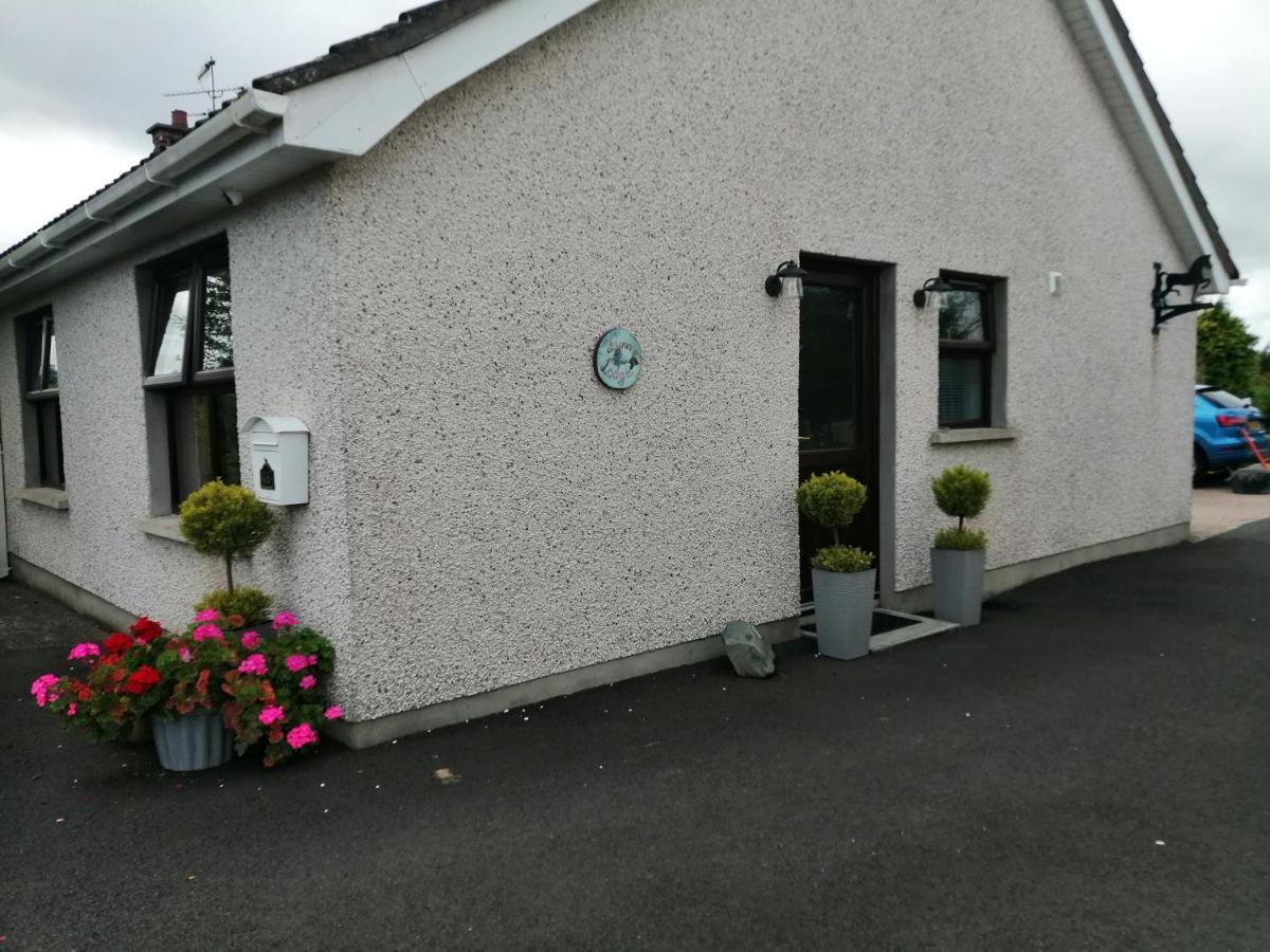 Lynn'S Lodge, International Airport 15Mins Randalstown 外观 照片
