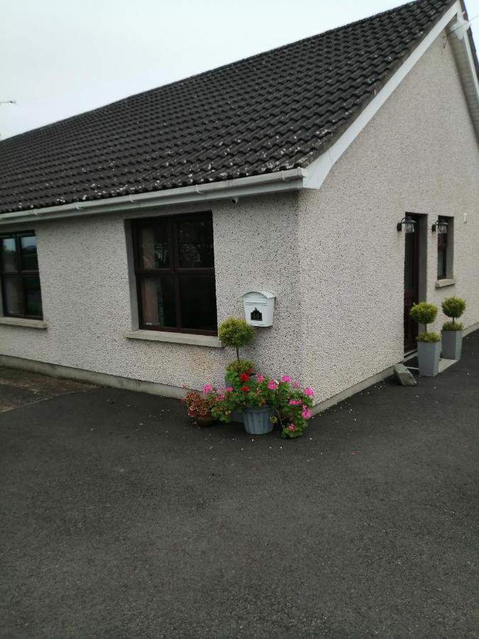 Lynn'S Lodge, International Airport 15Mins Randalstown 外观 照片